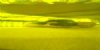 Chrome Brass (Yellow) Vinyl By The Foot