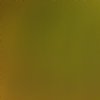 Siser Gold EasyWeed Metallic By The Foot