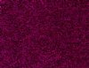 GT Economy Ultra Metallic Purple By The Yard