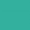 12" Medium Green Matte 8900 Removable Wall Vinyl By the Yard