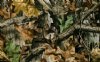 12" Advantage Timber Camouflage Vinyl By The Foot
