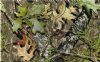12" Mossy Oak Obsession Camouflage Vinyl By The Foot