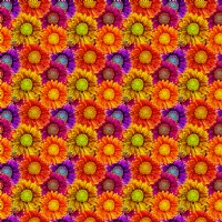 Autumn Harvest Heat Transfer Vinyl By The Foot Pre-Masked
