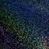 Black Glitter - Fantasy Film Vinyl By The Foot
