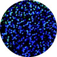 Siser Navy Holographic Heat Transfer By The Foot