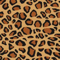 Animal Prints and Patterns