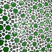 Hybrid Pattern Vinyl