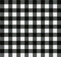 Mini Black / White Buffalo Plaid Heat Transfer Vinyl By The Foot Pre-Masked