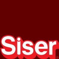 Maroon Siser EasyWeed By The Foot