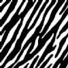 24" Zebra Vinyl (Laminated) By The Foot