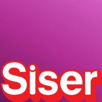 Cherry Siser EasyWeed Electric By The Foot