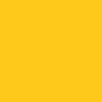 Yellow Oracal 631 12" x 24" Sample Sheet