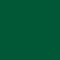 Dark Green Oracal 631 12" x 12" Sample Sheet