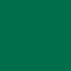 613 - Forest Green - 330C - 12 inch
