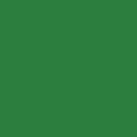 Oracal 8300-060 Dark Green 12" x 12" Sheet