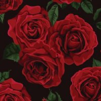 PRE-MASKED Black Roses Heat Transfer Vinyl By The Foot