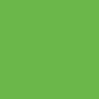 Fluorescent Green Siser EasyWeed 12" x 25 yard Roll