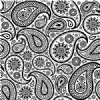 Paisley Vinyl