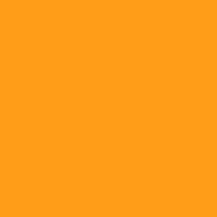 Neon Deep Orange ThermoFlex Plus By The Foot