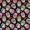 Sugar Skulls Vinyl