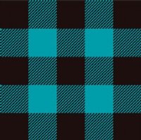 PRE-MASKED Turquoise / Black Buffalo Plaid Heat Transfer Vinyl By The Foot