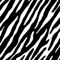 12" Zebra Vinyl (Laminated) By The Foot